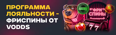 Все о бонусах на Vodds получите максимум от игры